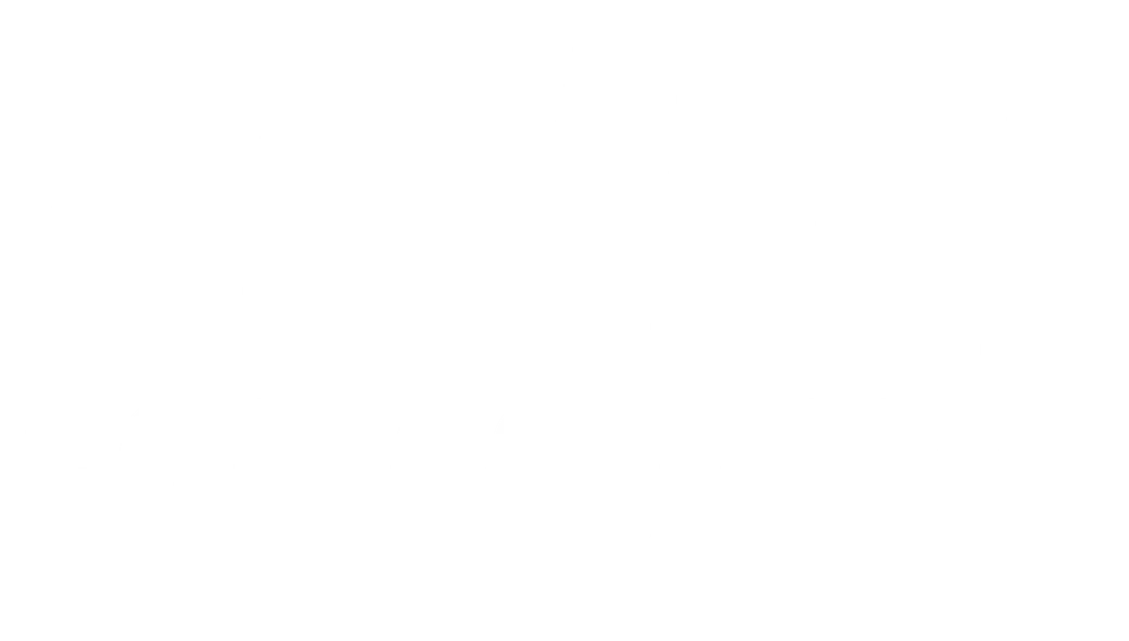 Levitt for Council
